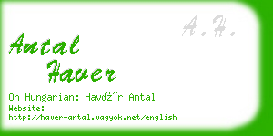 antal haver business card